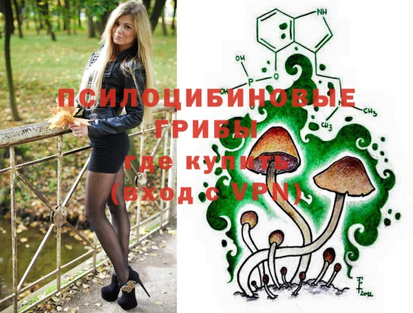 круглые Алзамай