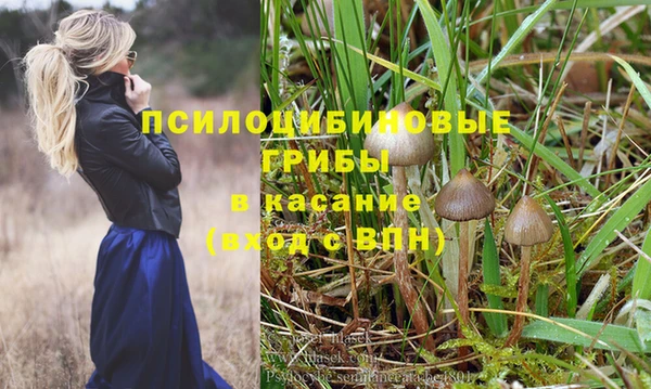 круглые Алзамай